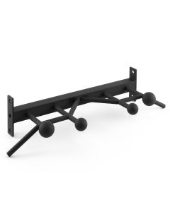 Again Faster® Competition Globe Pull-Up Bar