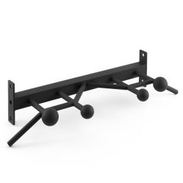 Again Faster® Competition Globe Pull-Up Bar