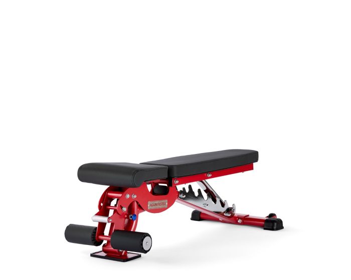 Decline Bench Sit Ups Fitness Reality 2000 Adjustable Weight Bench